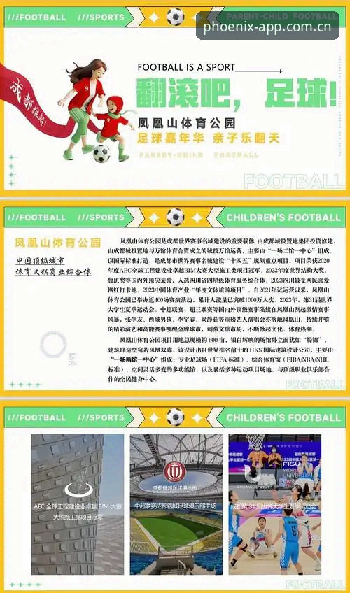 凤凰体育赛事平台使用技巧 凤凰体育赛事平台使用技巧:从新手到达人的必备知识